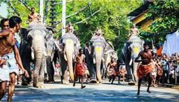 Guruvayur Anayottam : തൃശ്ശൂരിലെ ഉത്സവങ്ങളില്‍ ക്ഷേത്രത്തിനകത്ത് 15 ആനകളെ എഴുന്നള്ളിക്കാന്‍ അനുമതി; ഗുരുവായൂർ ആനയോട്ടത്തിന് മൂന്നാനകൾ 