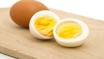 Egg Benefits: 40 വയസിനു ശേഷം പതിവായി മുട്ട കഴിക്കണം എന്ന്  പറയുന്നത് എന്തുകൊണ്ട്? 