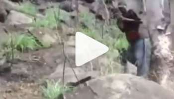 Viral Video: ഒന്ന് ഫോട്ടോയെടുക്കാൻ ശ്രമിച്ചതാ.. പിന്നെ സംഭവിച്ചത്..!