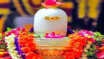 Maha Shivratri 2022: മഹാശിവരാത്രി ദിനത്തിൽ അറിയാതെപോലും ശിവലിംഗത്തിൽ ഈ  5 സാധനങ്ങൾ അര്‍പ്പിക്കരുത്