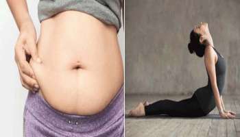 Belly Fat loss: കുടവയര്‍  തനിയെ കുറയും, ഈ ശീലങ്ങള്‍ പാലിച്ചാല്‍  മതി