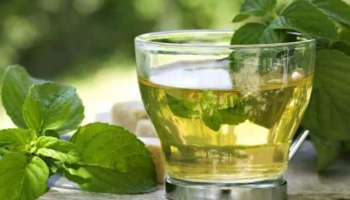 Green tea: ​ഗ്രീൻ ടീ കുടിച്ചാൽ ഒരുപാടുണ്ട് ​ഗുണങ്ങൾ