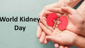 World Kidney Day 2022:  വൃക്കയുടെ ആരോഗ്യം സംരക്ഷിക്കാൻ ശ്രദ്ധിക്കേണ്ടത് എന്തൊക്കെ?