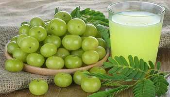 Benefits of Amla Water: മുടിയ്ക്ക് കറുത്ത നിറവും കട്ടിയും വേണമെങ്കിൽ നെല്ലിക്ക നീര് ഈ രീതിയിൽ ഉപയോഗിക്കൂ! 