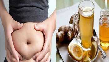 Morning Weight Loss Drinks: ശരീരഭാരം കുറയ്ക്കണോ..? വെറും വയറ്റിൽ ഈ പാനീയം കുടിക്കൂ