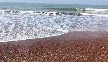 Beaches in India : നിറം മാറുന്ന ബീച്ചുകൾ കാണണോ? ഈയിടങ്ങൾ സന്ദർശിക്കാം