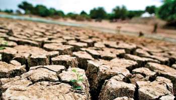 Heatstroke: കേരളത്തിൽ കനത്ത ചൂട്; സൂര്യാഘാത സാധ്യത, ആറ് ജില്ലകളിൽ മുന്നറിയിപ്പ്