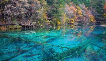 Five Flower Lake : വേനലിൽ‌ വറ്റില്ല ശൈത്യത്തിൽ തണുത്തുറയില്ല; പലനിറത്തിൽ അത്ഭുതം തീർക്കുന്ന ഫൈവ് ഫ്ലവര്‍ തടാകം 