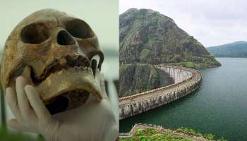 Idukki Dam : ഇടുക്കി ഡാമിൽ നിന്ന് തലയോട്ടി കിട്ടി; പോലീസ് അന്വേഷണം ആരംഭിച്ചു