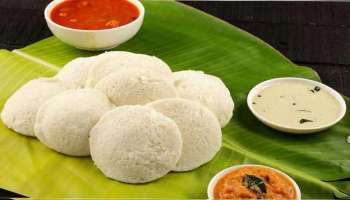 World Idli Day: ഇന്ന് ലോക ഇഡ്ഡലി ദിനം, ദക്ഷിണേന്ത്യക്കാരുടെ  പ്രിയഭക്ഷണത്തിന്‍റെ ഗുണങ്ങള്‍ അറിയാം.... 