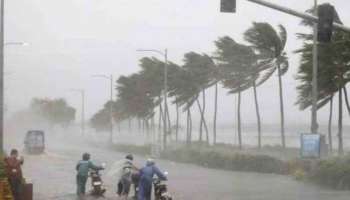 സംസ്ഥാനത്ത് ശക്തമായ മഴയ്ക്ക് സാധ്യത; ഏഴ് ജില്ലകളിൽ യെല്ലോ അലർട്ട്