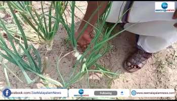 Diffrent Agriculture method of adoor native man