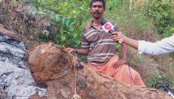 Human Animal Conflict: കണ്ണൂർ മലയോര മേഖലകളിൽ കാട്ടാന ശല്യം രൂക്ഷം