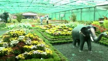 Thekkadi Flowershow: മനം കവരുന്ന പുഷ്പഭംഗി; തേക്കടി പുഷ്പമേളയ്ക്ക് കുമളിയിൽ തുടക്കമായി