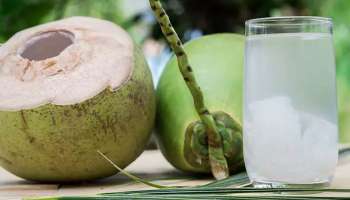  Tender Coconut Water Health Benefits : വേനൽക്കാലത്ത് കരിക്കിൻ വെള്ളം കുടിക്കുന്നത് ഏറെ ഗുണകരം 