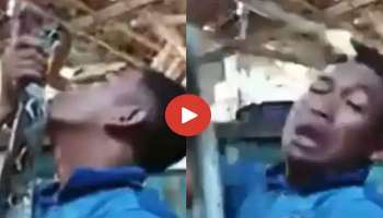 Viral Video: രാജവെമ്പാലയ്‌ക്കൊപ്പം മസ്തിയടിച്ച് യുവാവ്, പിന്നെ സംഭവിച്ചത്..! 