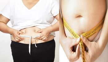 Ways To Reduce Belly Fat: വേനൽക്കാലത്ത് ഈ 5 കാര്യങ്ങൾ ശീലിക്കൂ.. വയറിലെ കൊഴുപ്പ് പെട്ടെന്ന് ഉരുക്കാം!