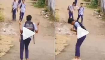 Viral Video: കച്ചാ ബദാമോ? രതി പുഷ്പമോ? പിള്ളേർ പൊളിച്ചു-വീഡിയോ