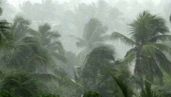 Kerala Rain Alert: സംസ്ഥാനത്ത് ഇന്ന് കനത്ത മഴയ്ക്ക് സാധ്യത; രണ്ടു ജില്ലകളിൽ യെല്ലോ അലർട്ട്
