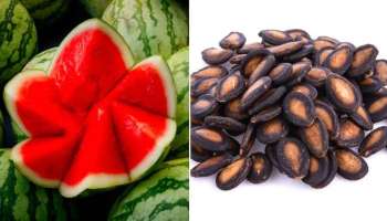 Watermelon Seeds Benefits: തണ്ണിമത്തന്റെ കുരു വലിച്ചെറിയാൻ വരട്ടെ, അറിയാം ഈ ഗുണങ്ങൾ!