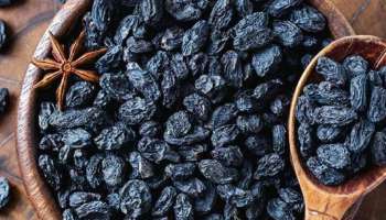 Black Raisins Benefits : കൊളസ്‌ട്രോൾ കുറയ്ക്കുന്നത് മുതൽ അനീമിയ തടയുന്നത് വരെ; ഉണക്ക മുന്തിരിക്ക് ഗുണങ്ങളേറെ