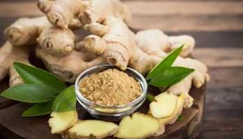  Ginger Side Effects : അമിതമായാൽ ഇഞ്ചിയും ആരോഗ്യത്തിന് ദോഷം ചെയ്യും