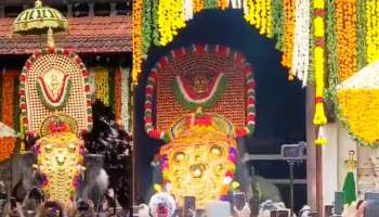 Thrissur Pooram 2022: നെയ്തലക്കാവിലമ്മ എഴുന്നള്ളി, തെക്കേ ഗോപുരം തുറന്ന് പൂര വിളംബരം 