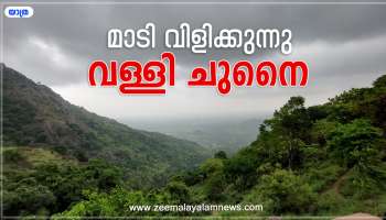 Travel Diarys: വള്ളി ചുനൈയിലേ അത്ഭുത ലോകത്തേക്ക് പോകാം; നിഗൂഢമായ &#039;ആ&#039; വെള്ളചാട്ടം കാണാം  