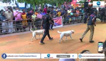 Amazing performances of Kerala Police dog squad police dog show at ente Keralam Exhibition