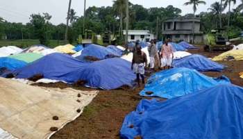 നെല്ല് സംഭരിക്കാതെ മില്ലുകാരുടെ സമ്മർദ്ദതന്ത്രം; പ്രതിസന്ധിയിലായി കർഷകർ