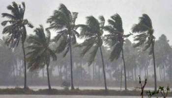 Rain alert: സംസ്ഥാനത്ത് ശക്തമായ മഴ; ഒൻപത് ജില്ലകളിൽ യെല്ലോ അലർട്ട്
