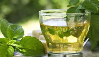 Green Tea benefits: ​ഗ്രീൻ ടീ കുടിക്കാം, നിരവധിയാണ് ആരോ​ഗ്യ ​ഗുണങ്ങൾ