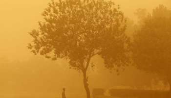 Saudi Arabia Dust Storm : സൗദി അറേബ്യയിലെ പൊടിക്കാറ്റ്; ആയിരത്തിലധികം പേരെ ആശുപത്രിയിൽ പ്രവേശിപ്പിച്ചു
