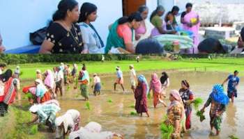 ലോകത്തിന് മാതൃകയായി കുടുംബശ്രീ; കാൽനൂറ്റാണ്ടിനിടെ 45 ലക്ഷം സേനാംഗങ്ങൾ