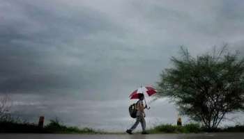 Rain Alert : സംസ്ഥാനത്ത് കനത്ത മഴ തുടരുന്നു ; 8 ജില്ലകളിൽ യെല്ലോ അലർട്ട്