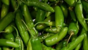 Green Chilli Benefits: എരിവ് മാത്രമല്ല ആരോ​ഗ്യവും നൽകും, പറഞ്ഞാൽ തീരില്ല പച്ചമുളകിന്റെ ആരോ​ഗ്യ ​ഗുണങ്ങൾ