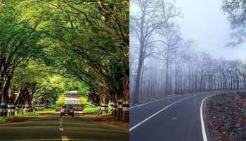 മനസ്സും ശരീരവും കൂളാക്കാം; 5 കിടിലം റോഡ് ട്രിപ്പുകൾ