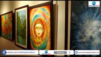  A different picture exhibition in kannur