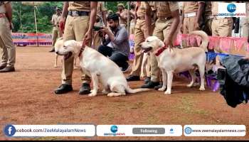 Viral dog squad will be on guard to prevent drug trafficking to jails in kerala