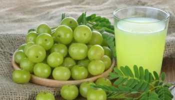 Amla juice benefits: വെറും വയറ്റിൽ നെല്ലിക്ക ജ്യൂസ് കഴിക്കാം; നിരവധിയാണ് ​ഗുണങ്ങൾ