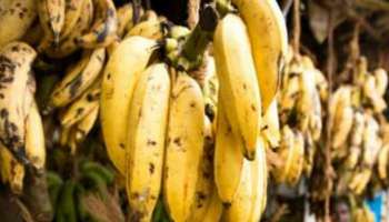 Banana benefits: ഏത്തപ്പഴം കഴിച്ചാൽ ബിപി കുറയുമോ?