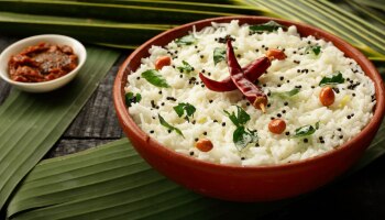 Curd Rice Benefits: ഇത്രയും ​ഗുണങ്ങളോ? ബോളിവുഡ് നടിമാർ പോലും ‍ഡയറ്റിൽ ഉൾപ്പെടുത്തിയ ആ സൗത്ത് ഇന്ത്യൻ ഭക്ഷണം