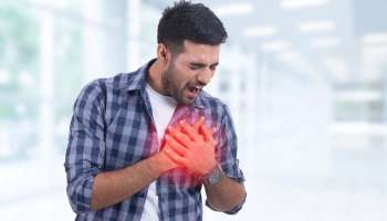 Heart Attack Reasons : യുവാക്കൾക്കിടയിൽ ഹൃദ്രോഗം വർധിക്കുന്നു; കാരണമറിയാം 