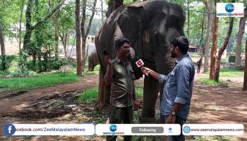 Funny Elephant Ammu playing tricks goes viral