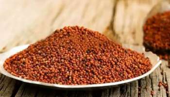 Benefits of Ragi: ഷു​ഗറും കൊളസ്ട്രോളും കുറയ്ക്കാൻ ​റാ​ഗി കഴിക്കാം