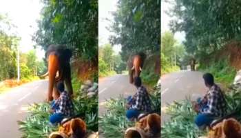 Viral Video: ആനയെ കൈ കാട്ടി വിളിക്കുന്ന പാപ്പാൻ,നിറഞ്ഞില്ലേ എന്ന്-വീഡിയോ