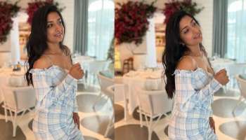 Meera Jasmine: മീരയുടെ പുതിയ കിടിലൻ ലുക്ക്, ഫോട്ടോ ഷൂട്ട് വൈറൽ