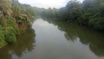 തെന്മലഡാം പരിസരത്ത് അറുപതോളം നീർനായകൾ; യുവതിക്ക് കടിയേറ്റു