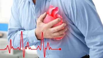 Heart Attack Prevention : ഈ ഡ്രൈ ഫ്രൂട്ട് നിങ്ങളുടെ ഭക്ഷണത്തിൽ ഉൾപ്പെടുത്തൂ; ഹൃദയാഘാതത്തിൽ നിന്ന് രക്ഷ നേടാം 