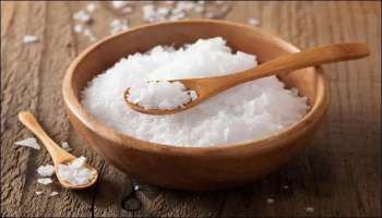 Astrology Benefits of Salt: ഒരു നുള്ള് ഉപ്പ്  നിങ്ങളുടെ ഭാഗ്യം മാറ്റും..!!